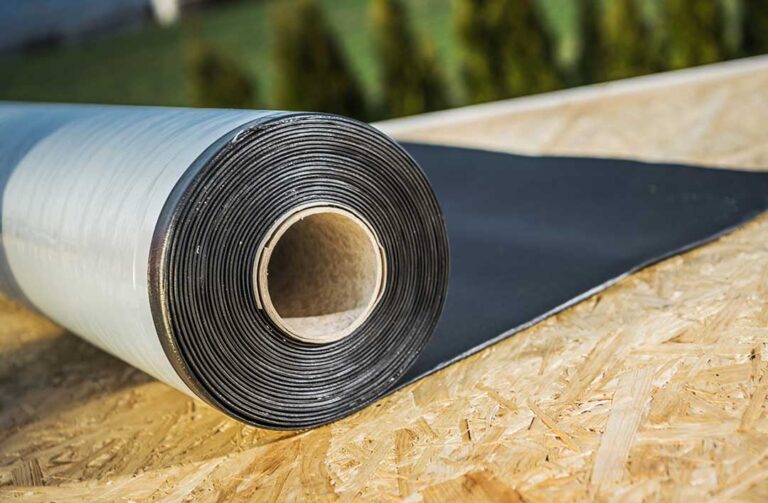 A shaded shingle roof with green moss near the edges, scattered leaves, and clean gutters.